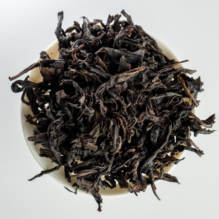 Цюэ Ше Чжэнь Янь